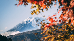 2021年9月開催 九州JBA(仮)